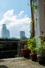 Sunny morning in Manila, the Philippines. Green lush flowers and plants in pots next to the wall and stone stairs with the city skyline in the background