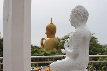 buddha statue in thailand