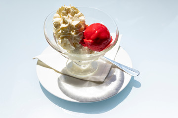 Elegant Ice Cream with Cream in a Bowlbowl.