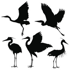 Heron silhouette set. Vector illustration