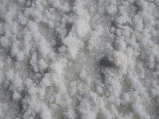 white surface of the lake covered with salt at sunrise