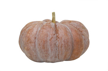 Fresh pumpkin on a white background and buried in the clipping path.