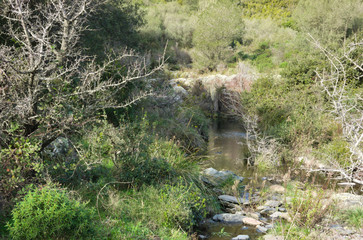 Les Albères