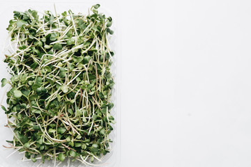 Green healthy food – stock image