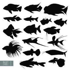 Aquarium fish silhouettes, most popular. Set 1. Vector illustration - obrazy, fototapety, plakaty