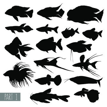 Aquarium fish silhouettes, most popular. Set 1. Vector illustration