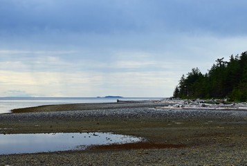 Rebecca Spit beach landscape on a rainy day on Quadra Island, BC Canada 