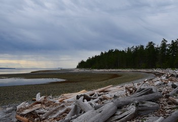 Fototapeta na wymiar Rebecca Spit beach landscape on a rainy day on Quadra Island, BC Canada 