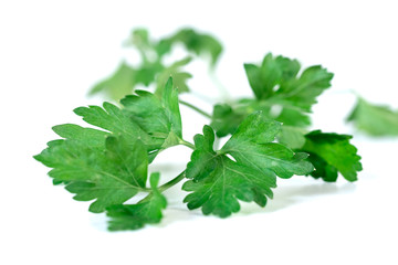 Fresh parsley isolated on a white background, vegetable.