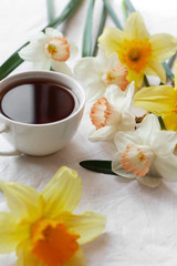 White cup with black tea or coffee on a table surrounded by fresh white and yellow narcissuses. Beautiful still life with drink and spring flowers, enjoying a coffee break, close up. Selective focus