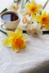 White cup with hot tea or coffee on a table surrounded by fresh white and yellow narcissuses. Beautiful still life with drink and spring flowers, enjoying a coffee break, close up. Selective focus