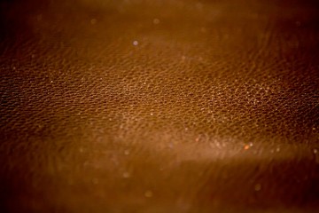 Python skin texture. Genuine Leather