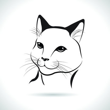 Vector of a cat face design on the white background,  Animals. Easy editable layered vector illustration.