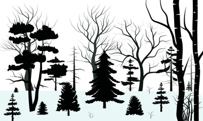 Trees forest background and snow for winter season concept.Hand drawn isolated illustrations.