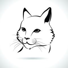 Fototapeta na wymiar Vector of cat face design on white background, animal Easily editable vector illustration.