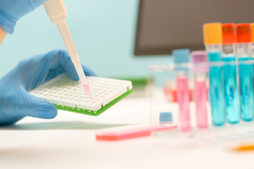 Laboratory of genetic research. PCR plates and multichannel pipettes