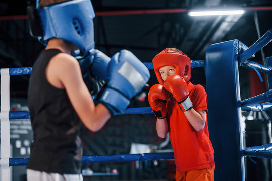 Two boys in protective equipment have sparring and fighting on the boxing ring