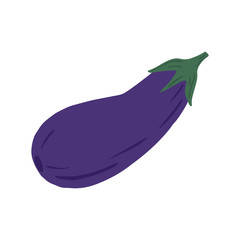Eggplant in doodle style isolated on white background. Hand drawn aubergine vegetable.