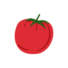 Doodle tomato isolated on white background. Hand drawn cherry tomatoes vegetable