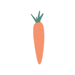 Cute carrot isolated on white background. Doodle vegetable.