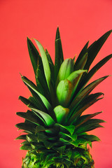 Tropical summer background. Pineapple on a pink background. Food concept. Minimal.