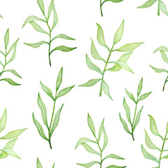 Watercolor seamless pattern with green leaves. Spring background
