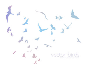 figure set multicolored flock of flying birds on tree branch
