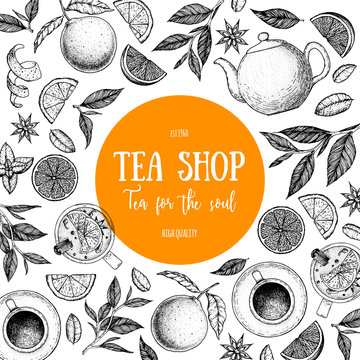 Tea vector illustration. Citrus and tea leaves. Healthy drink. Hand drawn sketch. Engraved style. Can used for vintage package design with tea product. Vector hand drawn set.
