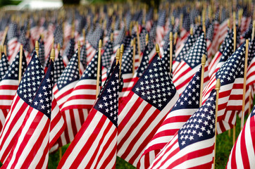 Field of American Flags on Memorial Day - obrazy, fototapety, plakaty