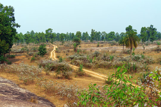 soil made village road have gone into the jungle surrounded by green trees and big rocks under blue sky at Indian Sonamoni Pahar