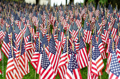 Field of American Flags on Memorial Day