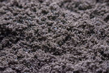 Volcanic Ash Close Up Photo