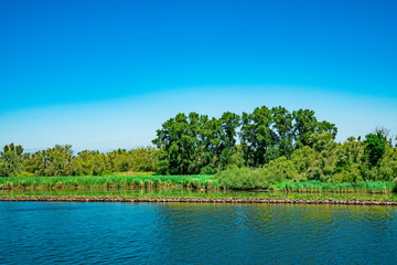 water landscape Hollands Biesbosch in Drimmelen. trees along river Amer. The Netherlands