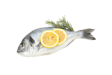 Dorado fish, lemon and rosemary isolated on white background