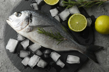 Dorado fish, lime, rosemary and ice on grey background, top view