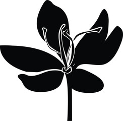 saffron icon, vector illustration