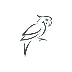 creative parrot logo design vector line illustration