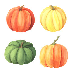 Watercolor hand drawn green, orange, yellow pumpkin