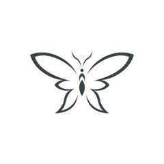 Butterfly design template line vector concept