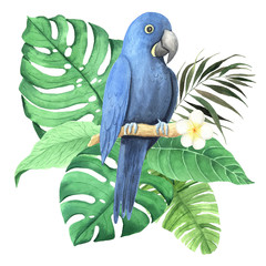 Watercolor tropical flower and parrot composition