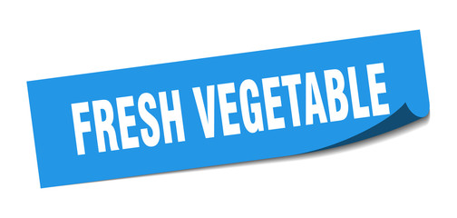 fresh vegetable sticker. fresh vegetable square sign. fresh vegetable. peeler