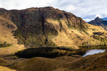  Cayambe-Coca reserve