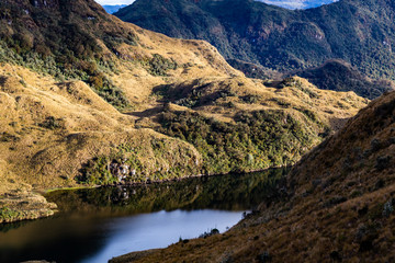  Cayambe-Coca reserve