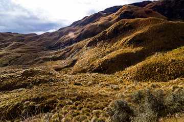  Cayambe-Coca reserve