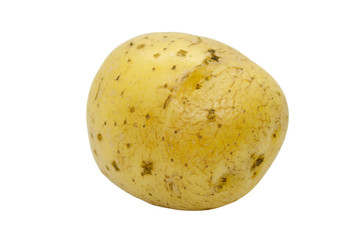 Potato tuber close up isolated on a white background. Fresh vegetables. Item for packaging, scene creator