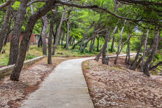 Foothpath Baska voda, Promajna, Krvavica, Makarska