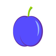 Plum vector icon on white background