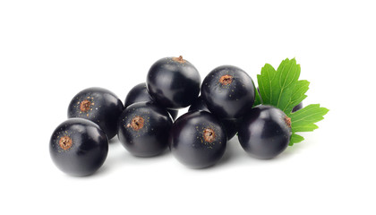 black currant with green leaf isolated on white background. macro