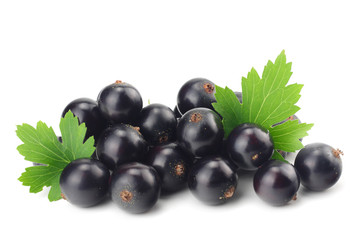 black currant with green leaf isolated on white background. macro