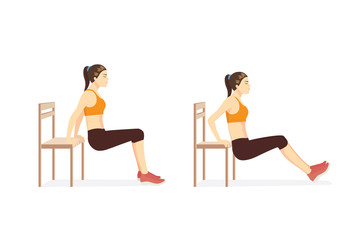 Woman doing Triceps Dips with bench in 2 step for exercise guide. Illustration about workout for build strength triceps brach ii muscle.